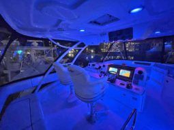 
										SEA RAY SEDAN BRIDGE 55 full									