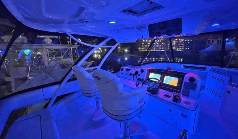 
								SEA RAY SEDAN BRIDGE 55 full									