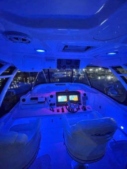 
										SEA RAY SEDAN BRIDGE 55 full									