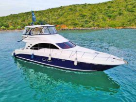 SEA RAY SEDAN BRIDGE 55