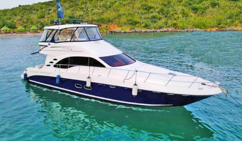 
								SEA RAY SEDAN BRIDGE 55 full									