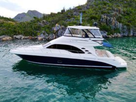 SEA RAY SEDAN BRIDGE 55