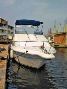 
										SEA RAY SEDAN BRIDGE 35 full									