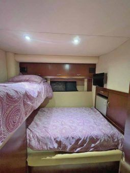 
										SEA RAY SEDAN BRIDGE 55 full									