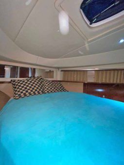 
										SEA RAY SEDAN BRIDGE 55 full									