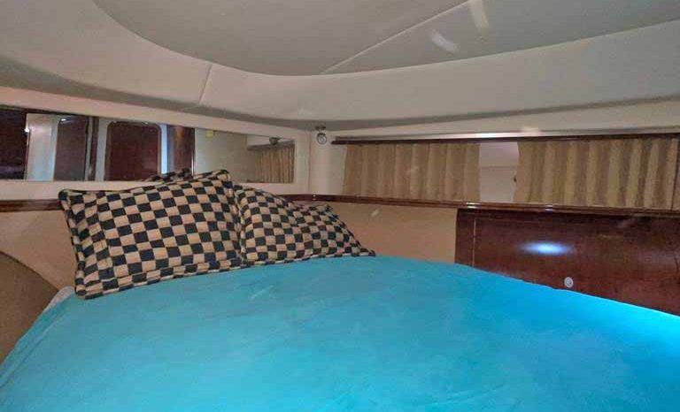 
								SEA RAY SEDAN BRIDGE 55 full									