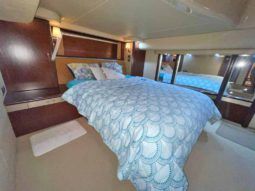 
										SEA RAY SEDAN BRIDGE 55 full									