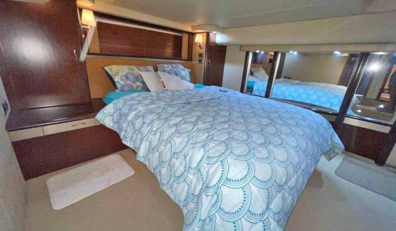 
								SEA RAY SEDAN BRIDGE 55 full									