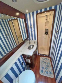 
										SEA RAY SEDAN BRIDGE 55 full									