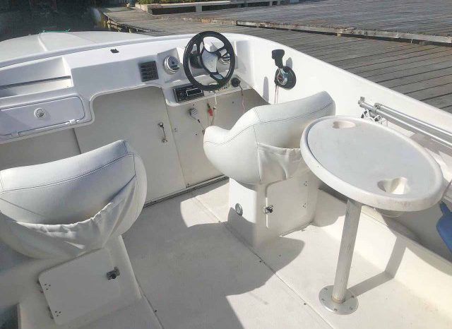 
								INTERMARINE BABY AVANTI 25 full									