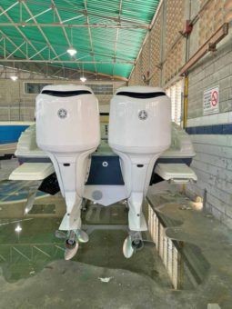 
										PROMARINE SPORT 1000 SS 33 full									
