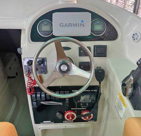 
								PROMARINE SPORT 1000 SS 33 full									