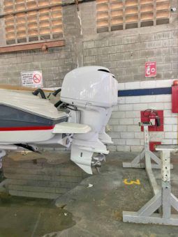
										PROMARINE SPORT 1000 SS 33 full									