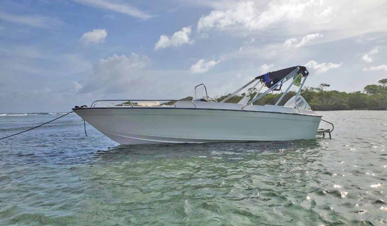 
								FORMULA THUNDERBIRD 190 full									