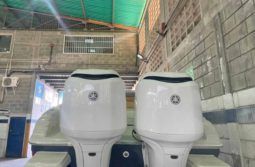 
										PROMARINE SPORT 1000 SS 33 full									