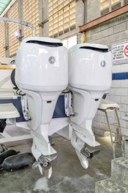
										PROMARINE SPORT 1000 SS 33 full									
