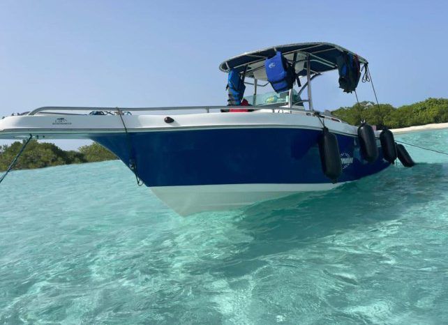 
								INTERMARINE OPEN 24 full									