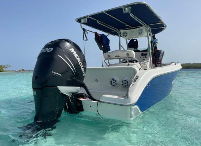 
								INTERMARINE OPEN 24 full									