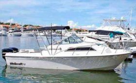WELLCRAFT SPORTSMAN 250