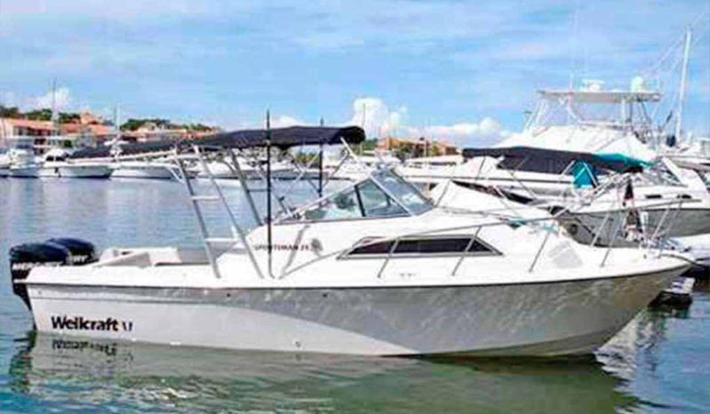 
								WELLCRAFT SPORTSMAN 250 full									