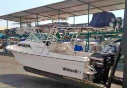 
										WELLCRAFT SPORTSMAN 250 full									
