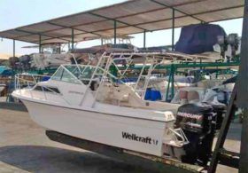 WELLCRAFT SPORTSMAN 250