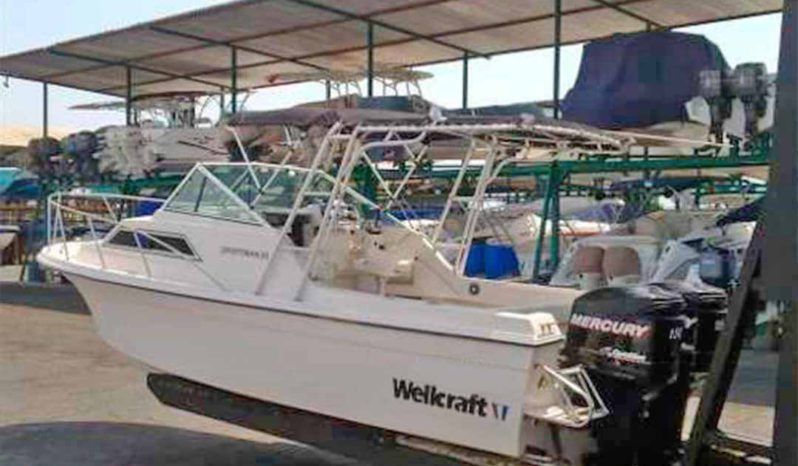 
								WELLCRAFT SPORTSMAN 250 full									