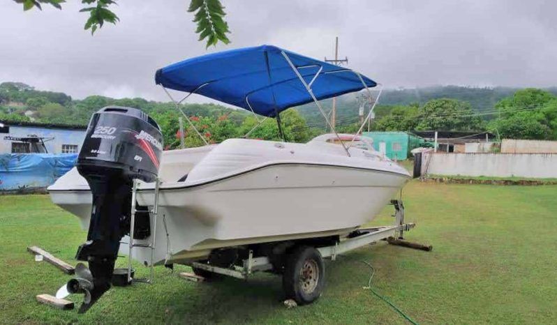 
								INTERMARINE STATE 23.5 full									