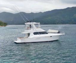 
										SILVERTON 42 full									