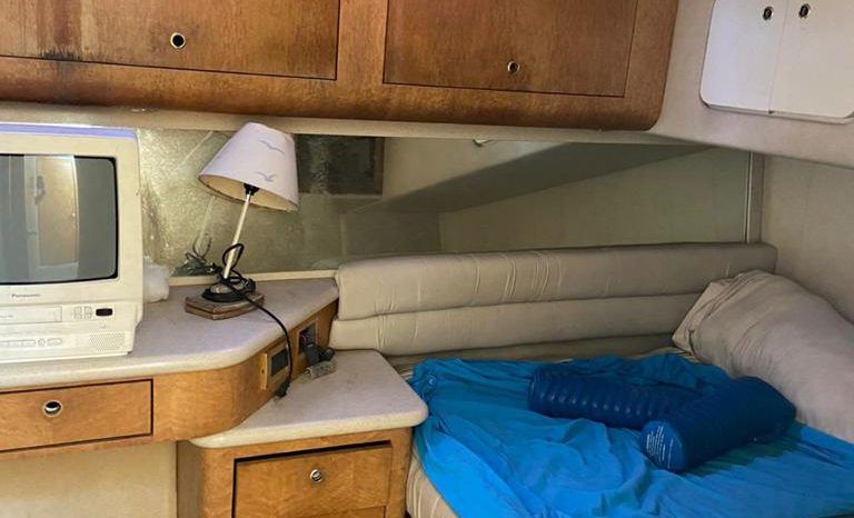 
								SEA RAY 55 full									