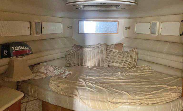 
								SEA RAY 55 full									