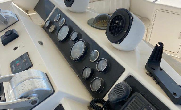 
								SEA RAY 55 full									