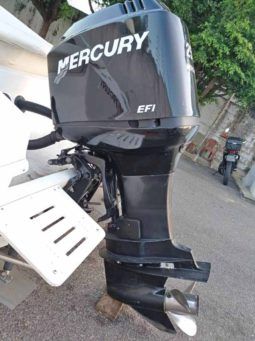 
										INTERMARINE 24 full									