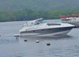 
										DORAL PRESTANCIA 32 full									