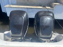 
										BERETTA 30 full									