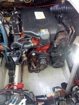 
										DORAL PRESTANCIA 32 full									