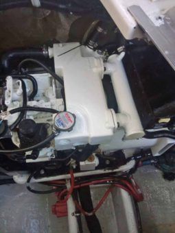 
										DORAL PRESTANCIA 32 full									