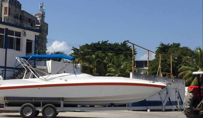 INTERMARINE Z29 full