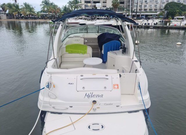
								SEA RAY SUNDANCER 28 full									