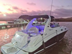 SEA RAY SUNDANCER 28