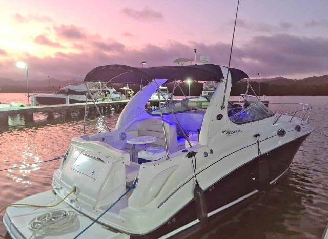 
								SEA RAY SUNDANCER 28 full									