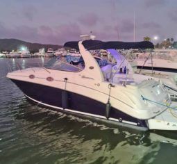 
										SEA RAY SUNDANCER 28 full									
