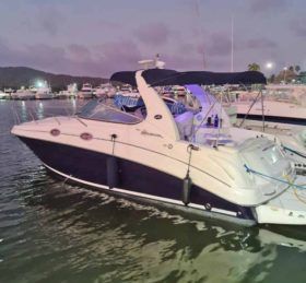 SEA RAY SUNDANCER 28