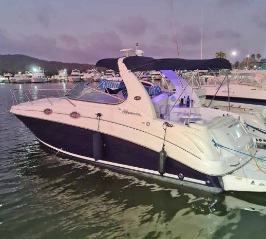 
								SEA RAY SUNDANCER 28 full									
