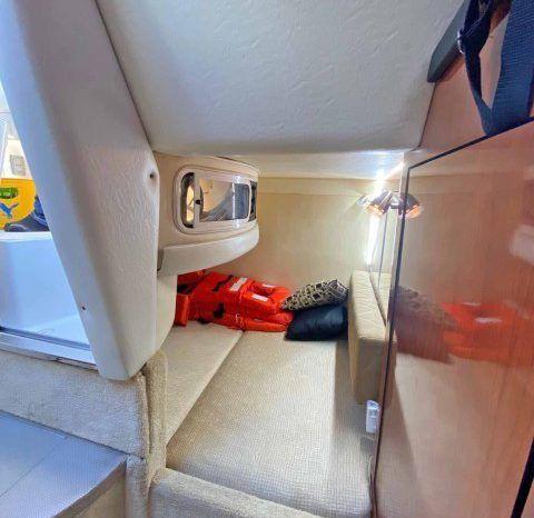 
								SEA RAY SUNDANCER 28 full									