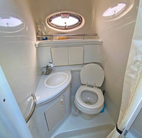 
								SEA RAY SUNDANCER 28 full									