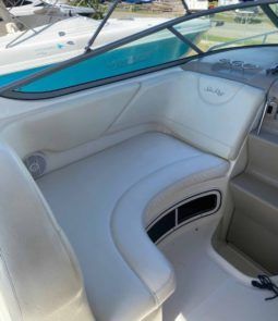 
										SEA RAY SUNDANCER 28 full									