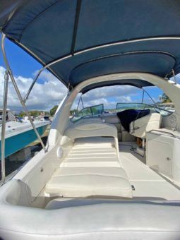 
										SEA RAY SUNDANCER 28 full									