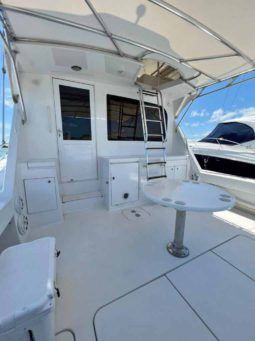 
										HATTERAS CONVERTIBLE 50 full									