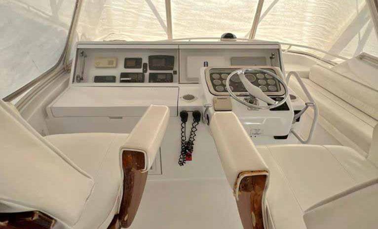 
								HATTERAS CONVERTIBLE 50 full									